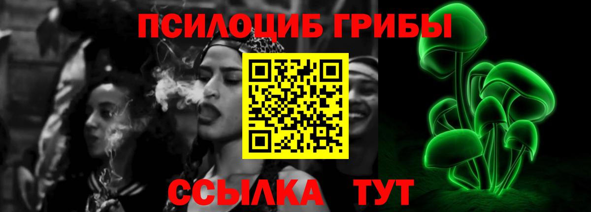 Галлюциногенные грибы Psilocybe  Вход с VPN  Муравленко  Галлюциногенные грибы Psilocybe 